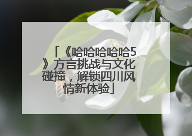《哈哈哈哈哈5》方言挑战与文化碰撞，解锁四川风情新体验