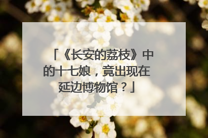 《长安的荔枝》中的十七娘，竟出现在延边博物馆？