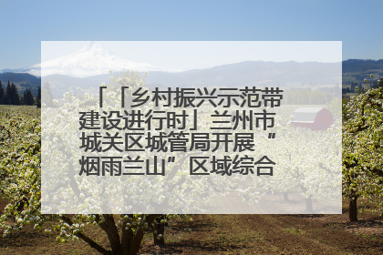 「乡村振兴示范带建设进行时」兰州市城关区城管局开展“烟雨兰山”区域综合整治专项行动
