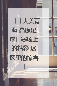 「大美青海 高原足球」赛场上的精彩 展区里的惊喜