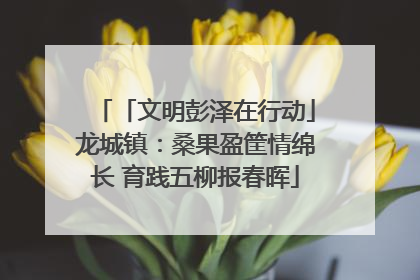 「文明彭泽在行动」龙城镇：桑果盈筐情绵长 育践五柳报春晖