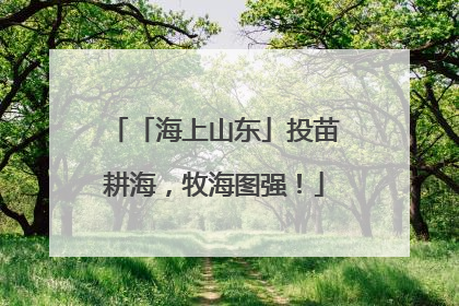 「海上山东」投苗耕海，牧海图强！