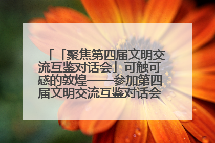「聚焦第四届文明交流互鉴对话会」可触可感的敦煌——参加第四届文明交流互鉴对话会的外宾参观上元市集