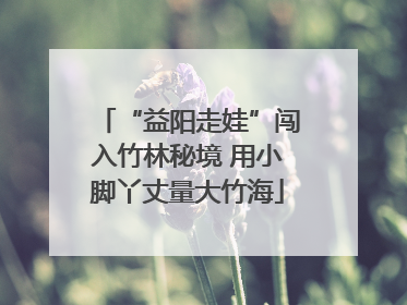 “益阳走娃”闯入竹林秘境 用小脚丫丈量大竹海