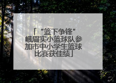 “篮下争锋” 峨眉实小篮球队参加市中小学生篮球比赛获佳绩