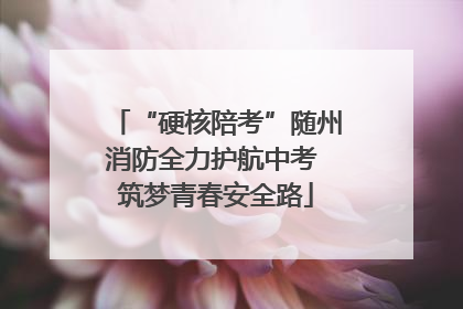 “硬核陪考”随州消防全力护航中考 筑梦青春安全路