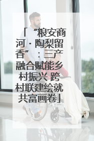“粮安商河・陶梨留香”：三产融合赋能乡村振兴 跨村联建绘就共富画卷