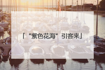 “紫色花海”引客来