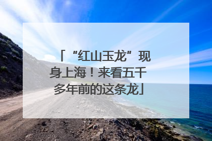 “红山玉龙”现身上海！来看五千多年前的这条龙