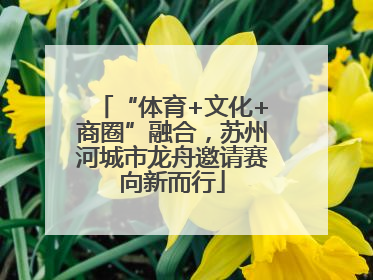 “体育+文化+商圈”融合，苏州河城市龙舟邀请赛向新而行