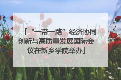 “一带一路”经济协同创新与高质量发展国际会议在新乡学院举办