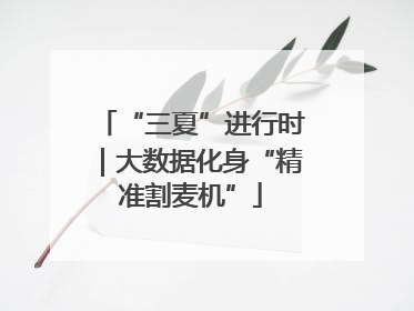 “三夏”进行时｜大数据化身“精准割麦机”