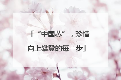 “中国芯”，珍惜向上攀登的每一步