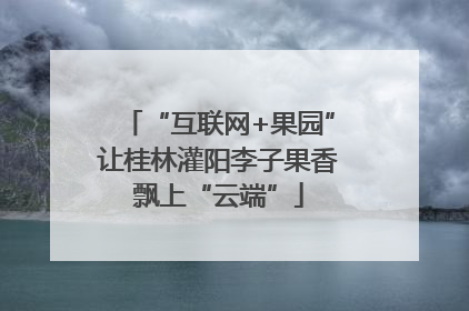 “互联网+果园”让桂林灌阳李子果香飘上“云端”