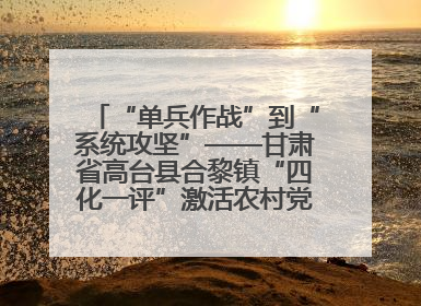“单兵作战”到“系统攻坚”——甘肃省高台县合黎镇“四化一评”激活农村党员管理新引擎