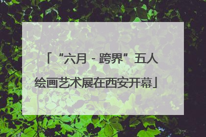 “六月 - 跨界”五人绘画艺术展在西安开幕