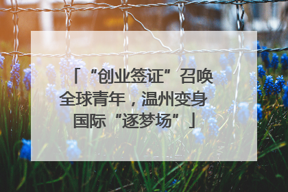 “创业签证”召唤全球青年，温州变身国际“逐梦场”