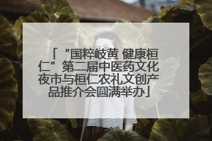 “国粹岐黄 健康桓仁”第二届中医药文化夜市与桓仁农礼文创产品推介会圆满举办