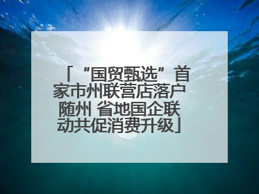 “国贸甄选”首家市州联营店落户随州 省地国企联动共促消费升级