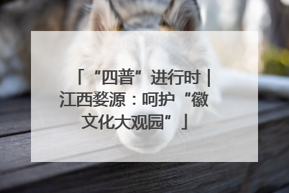 “四普”进行时｜江西婺源：呵护“徽文化大观园”