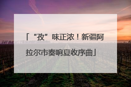 “孜”味正浓！新疆阿拉尔市奏响夏收序曲