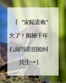 “宋陵麦收”火了！揭秘千年石刻与麦田如何共生→