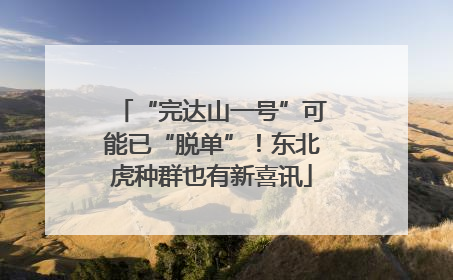 “完达山一号”可能已“脱单”！东北虎种群也有新喜讯