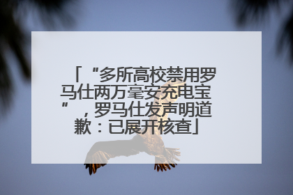 “多所高校禁用罗马仕两万毫安充电宝”，罗马仕发声明道歉：已展开核查