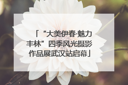 “大美伊春·魅力丰林”四季风光摄影作品展武汉站启幕