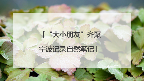 “大小朋友”齐聚宁波记录自然笔记