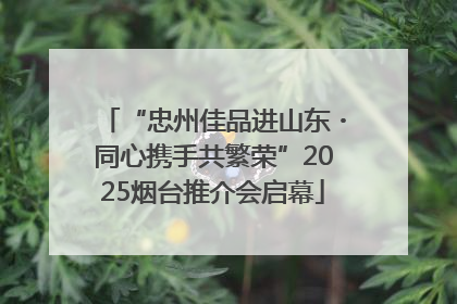 “忠州佳品进山东・同心携手共繁荣”2025烟台推介会启幕