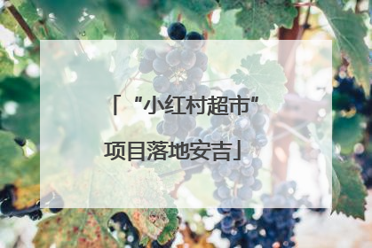 “小红村超市”项目落地安吉