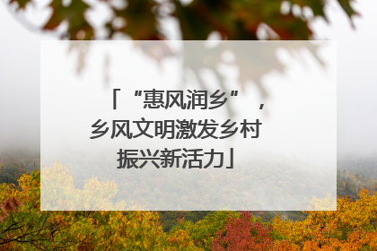 “惠风润乡”，乡风文明激发乡村振兴新活力