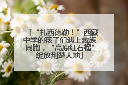 “扎西德勒！”西藏中学的孩子们遇上藏族同胞，“高原红石榴”绽放荆楚大地