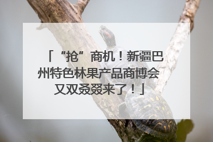 “抢”商机！新疆巴州特色林果产品商博会又双叒叕来了！