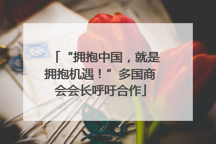 “拥抱中国，就是拥抱机遇！”多国商会会长呼吁合作
