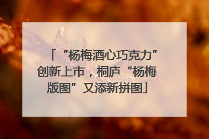 “杨梅酒心巧克力”创新上市，桐庐“杨梅版图”又添新拼图