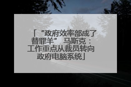 “政府效率部成了替罪羊” 马斯克：工作重点从裁员转向政府电脑系统