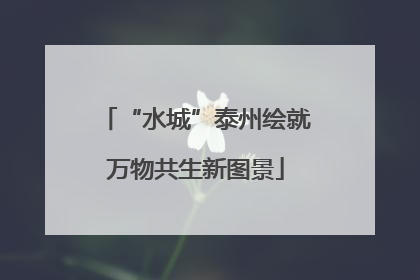 “水城”泰州绘就万物共生新图景