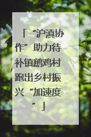 “沪滇协作”助力待补镇鹧鸡村跑出乡村振兴“加速度”