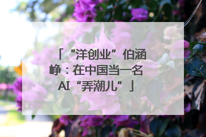 “洋创业”伯涵峥：在中国当一名AI“弄潮儿”