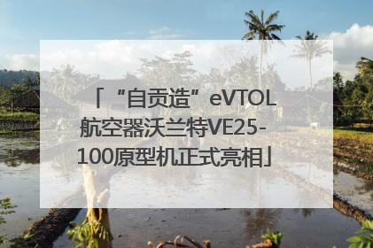“自贡造”eVTOL航空器沃兰特VE25-100原型机正式亮相