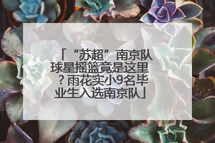 “苏超”南京队球星摇篮竟是这里？雨花实小9名毕业生入选南京队