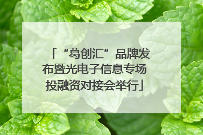 “葛创汇”品牌发布暨光电子信息专场投融资对接会举行