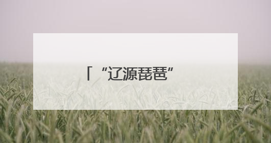 “辽源琵琶” 走向国际舞台