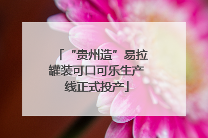 “贵州造”易拉罐装可口可乐生产线正式投产