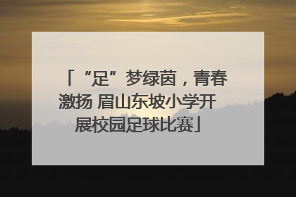 “足”梦绿茵，青春激扬 眉山东坡小学开展校园足球比赛