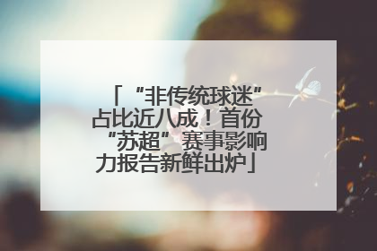 “非传统球迷”占比近八成！首份“苏超”赛事影响力报告新鲜出炉