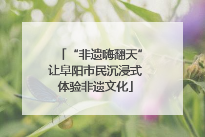 “非遗嗨翻天”让阜阳市民沉浸式体验非遗文化