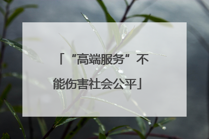 “高端服务”不能伤害社会公平